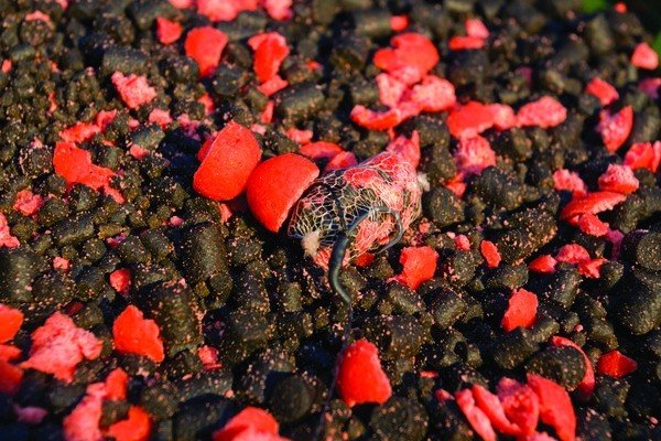 Бойлы Dynamite Baits CarpTec Boilies Strawberry 20mm 1kg