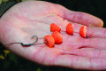 Бойлы Dynamite Baits CarpTec Boilies Tutti Frutti 15mm 1kg