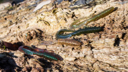 Силикон Keitech Mad Wag 101 green pumpkin pp.