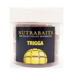 Пеллетс Nutrabaits Trigga Ice (pot) Hookbaits 10мм