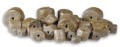 Пеллетс Carp Zoom Halibut Pellets 8 mm Pre-drilled 800 g