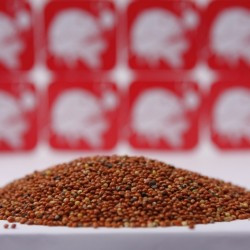 Зерновые частицы Rocket Baits Просо тёмное 1 кг