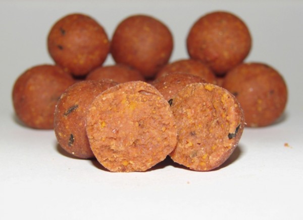 Бойлы CC Moore Equinox Shelf Life 24mm 1kg