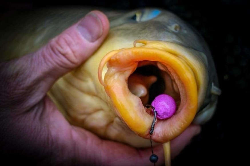 Бойлы Nutrabaits Pop-Up Winter Berry 12mm