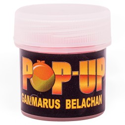 Бойлы CC Baits Pop-Ups Gammarus Belachan 10мм