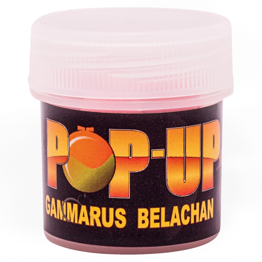 Бойлы CC Baits Pop-Ups Gammarus Belachan 10мм