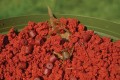 Прикормка Dynamite Baits Robin Red Groundbait 900g
