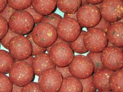 Бойлы Nutrabaits POP-UP BFM: Plum and Caproic 15мм