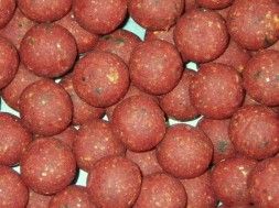 Бойлы Nutrabaits POP-UP BFM: Plum and Caproic 20мм