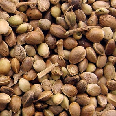 Зерна конопли Rocket Baits Hemp Seed 300 g