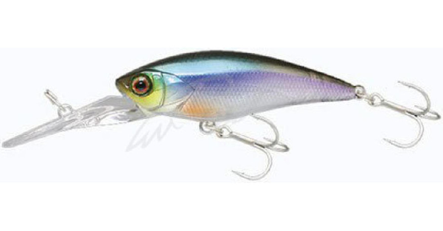 Воблер Jackall D-Bill Shad 55MR 5.8 гр. Ghost Wakasagi Floating