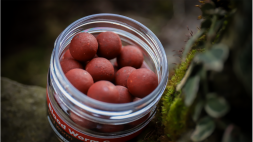 Бойлы насадочные Bloodworm&amp;Red Worm 14 мм