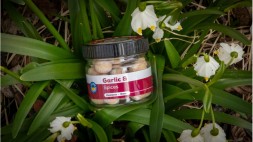 Бойлы насадочные Garlic&Spices 14 мм